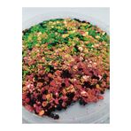 Sirius Hobi Epoksi Reçine Chameleon Green Tırnak Makyaj Chunky Glitter 8 gr Hologramlı Sim 2x4gr Kutulu