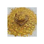 Sirius Hobi Epoksi Reçine Gold1 Tırnak Makyaj Chunky Glitter 8 gr Hologramlı Sim 2x4gr Kutulu