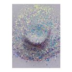Sirius Hobi Epoksi Reçine Sparkle Fine Mix Tırnak Makyaj Chunky Glitter 8 gr Hologramlı Sim 2x4gr Kutulu