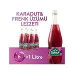 Sırma B Vitaminli Karadut & Frenk Üzümü Aromalı Doğal Maden Suyu 1 Lt x 6 Adet