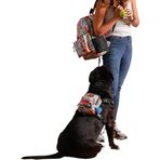 Sırt Çantası – 2’Si 1 Arada Göğüs Tasması Fonksiyonlu, Su Geçirmez, Ayarlanabilir, Küçük & Büyük Irklar Için,Travel, Çantalı Göğüs Tasmas, Small