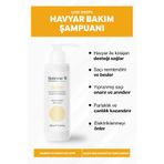 Sisteme 11 Havyar 250 ML Şampuan