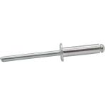 Site Hırdavat Aluminyum Pop Perçin 4X15 (100 Adet) Dayanıklı Malzeme ile Güçlü Bağlantı Sağlar