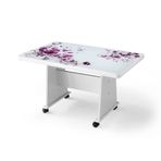 Sivas Gözde Mobilya Ekonomik Tekerlekli Camlı 103x63x60 cm Orta Sehpa