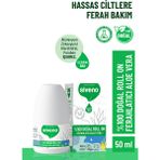 Siveno %100 Doğal Roll-On Aloe Vera Deodorant Ter Kokusu Önleyici Bitkisel Lekesiz Vegan 50 ML