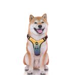 SIXPET Orta Köpek için LED Köpek Koşum, Işıklı Köpek Koşum, 2 Tasma Klipsli Çekmesiz Köpek Koşum, Ayarlanabilir Yumuşak Yastıklı Köpek Yelek, Kolay Kontrol Saplı Yansıtıcı Köpek Koşum (M Gökkuşağı)