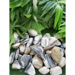 Siyah Beyaz Çizgili Dolomit Taşı 1 kg 3-6 cm Bahçe Dekoratif Taşı - Seçenek 1 - Ahşap - Beyaz