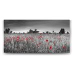 Siyah Beyaz Gelincik Tarlası Tablosu - 120x60cm