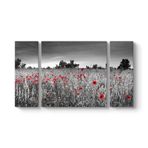Siyah Beyaz Gelincik Tarlası Tablosu 126 x 70-3 Parçalı