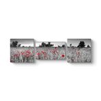 Siyah Beyaz Gelincik Tarlası Tablosu 136 x 40-3 Parçalı