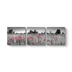 Siyah Beyaz Gelincik Tarlası Tablosu 156 x 50-3 Parçalı