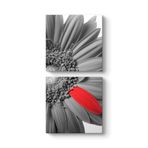Siyah Beyaz Gerbera Tablosu 30 x 63-2 Parçalı