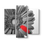 Siyah Beyaz Gerbera Tablosu 96 x 90-3 Parçalı