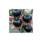 Siyah Domates Tohumu 5 Adet Tohum Black Tomato