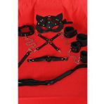 Siyah İçi Tüğlü Maske,Kol,Bacak,Ağız Topu,Kırbaç,Tasma Set 700939