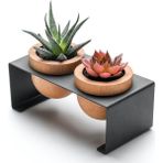 Siyah Metal Stantlı 2’li Skulent Saksısı – Siyah Metal Stant ve Meşe Saksılar, Modern Tasarım, Dekoratif Çiçek Saksılığı, Skulent ve Kaktüs İçin Şık Saksı, Ev ve Ofis Dekoru