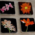 Siyah Zemin Orkide ve Gerbera Çiçekleri Doğal Taş Bardak Altlığı 4'lü set - Natural Stone Coasters