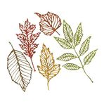 Sizzix Thinlits baskı şablonu Funky Foliage