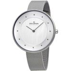 Skagen SKW2140 Bayan Kol Saati