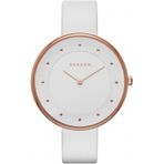 Skagen SKW2291 Kadın Kol Saati