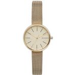 Skagen SKW2614 Bayan Kol Saati