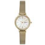 Skagen SKW2907 Kadın Kol Saati