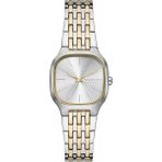 Skagen SKW3160 Kadın Kol Saati - Altın - Metalik Gri