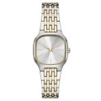 Skagen SKW3160 Kadın Kol Saati