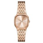 Skagen SKW3166 Kadın Kol Saati