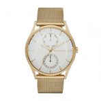 Skagen SKW6173 Erkek Kol Saati