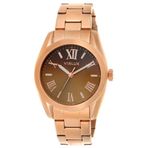 Skagen SKW6556 Unisex Kol Saati