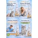 Skinsmart Kedi Kulak Göz ve Deri Temizleme Spreyi Antiseptik Bakım Solüsyonu %99,9 Hijyen 5 litre