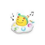 Skip Hop E&M Follow-Bee Crawl Toy