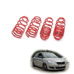 Skoda Fabia spor yay helezon 45mm/45mm 2009-2014 Coil-ex