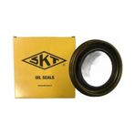 SKT 45991 Aks Keçesi Arka Ducato / Boxer / Jumper