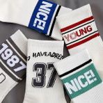 Sky Socks 5'li Ekonomik Paket Nice Çemberli Desenli Unisex Tenis Çorap Seti - Beyaz - Gri - Bordo