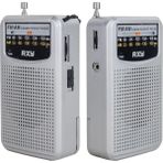 Skygo Bariton Cep Tipi Mini Analog Radyo Gri - Renkli