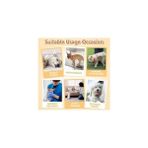 Skygo Petsoft Köpek Tuvalet Bez Kedi Tuvalet Bez Çiş Bezi X-Large 12 Adet - Option-1 - (ClearEyelets)Black-RadiantOrchid