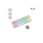 SKYLOONG Trol Red Switch Mini Oyun Klavyesi Gaming Mekanik 62 Tuşlu 18 Led Usb Tip-c Kablosu Beyaz