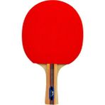 Slazenger Champion Ittf Onaylı Masa Tenis Raketi - Renkli
