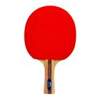Slazenger Champion ITTF Onaylı Masa Tenis Raketi