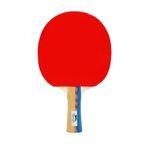 Slazenger Master 6 Star Ittf Onaylı Masa Tenisi Raketi