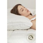 Sleepoos %100 Organik Yün Yastık 50X90 - 50 × 70 cm - Bej