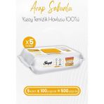 Sleepy Easy Clean 5x100 Yaprak Arap Sabunu Katkılı Yüzey Temizlik Havlusu