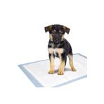 Sleepy Köpek Çiş Pedi 60X90 (30LU)