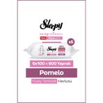 Sleepy Meyve Serisi Yüzey Temizlik Havlusu Mendili Pomelo 6x100 (600 Yaprak)