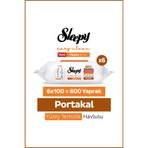 Sleepy Meyve Serisi Yüzey Temizlik Havlusu Mendili Portakal 6x100 (600 Yaprak)