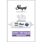 Sleepy Mountain Yüzey Temizlik Havlusu&Mendili Dağ Esintisi 3x100 (300 Yaprak)