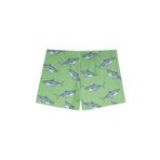 Slipstop Berko Mint Trunk Erkek Çocuk Mayo