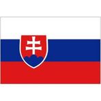 Slovakya Bayrağı (30x45 cm)